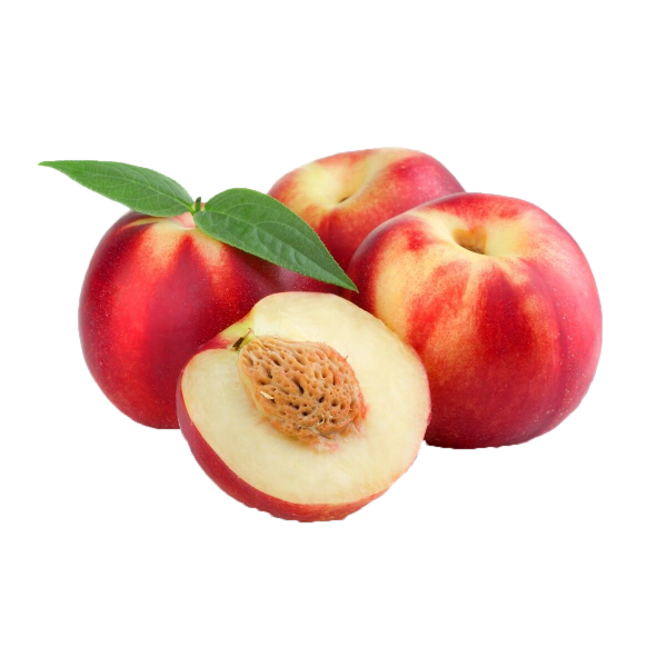 MangiaBin Elemento2 26